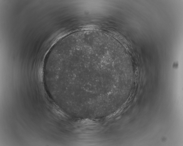 X0000116860290201001121246