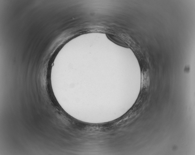 X0000116860291201001121246