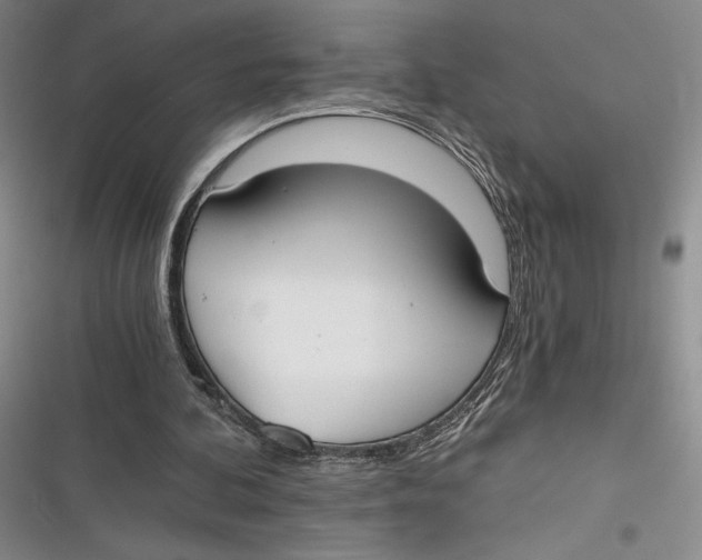 X0000116860292201001121246