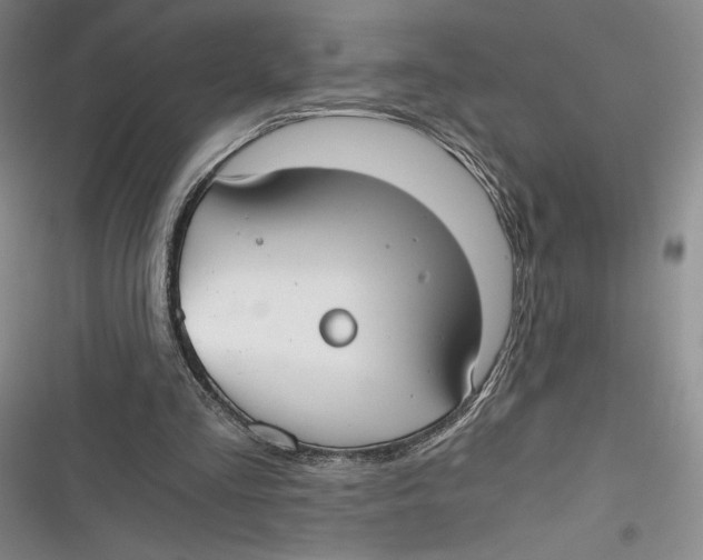 X0000116860293201001121246