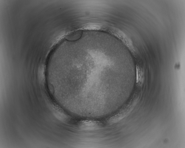 X0000116860300201001121246