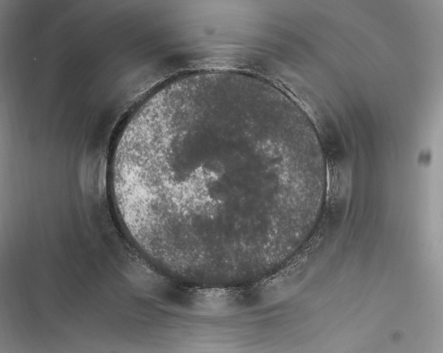 X0000116860301201001121246