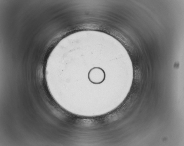 X0000116860302201001121246