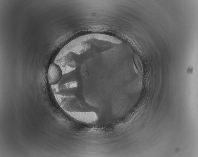 X0000116860303201001121246