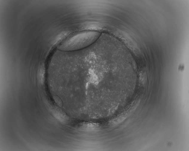 X0000116860304201001121246