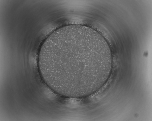 X0000116860305201001121246