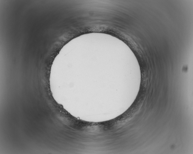 X0000116860307201001121246