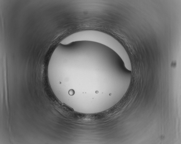 X0000116860308201001121246