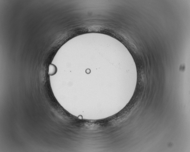 X0000116860311201001121246