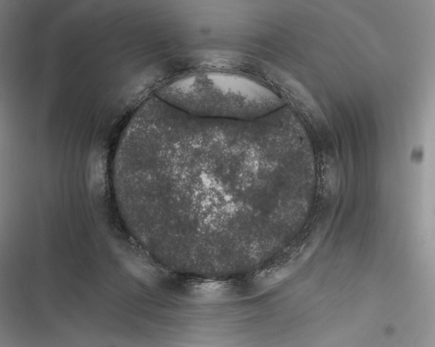 X0000116860312201001121246