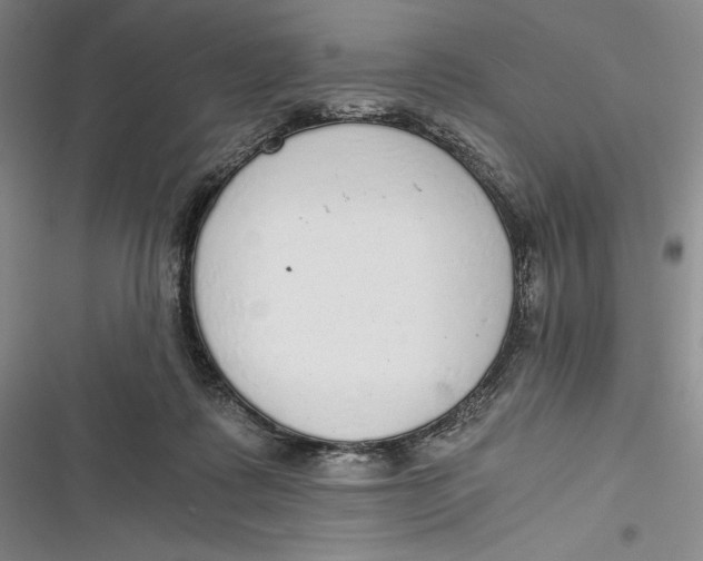 X0000116860315201001121246