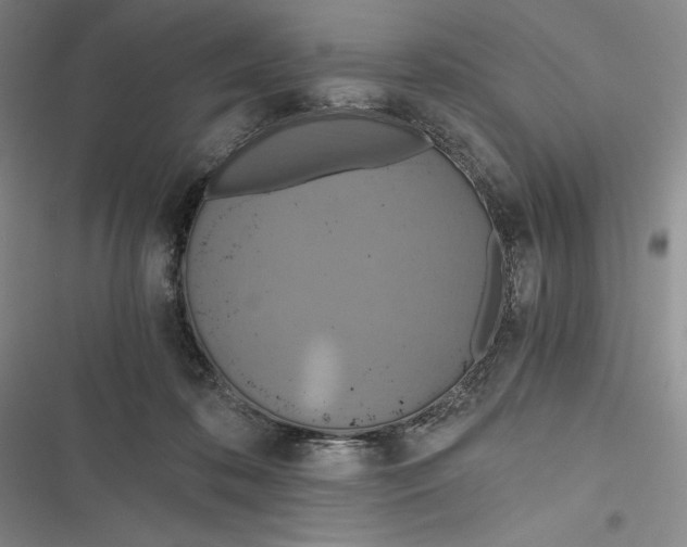 X0000116860316201001121246