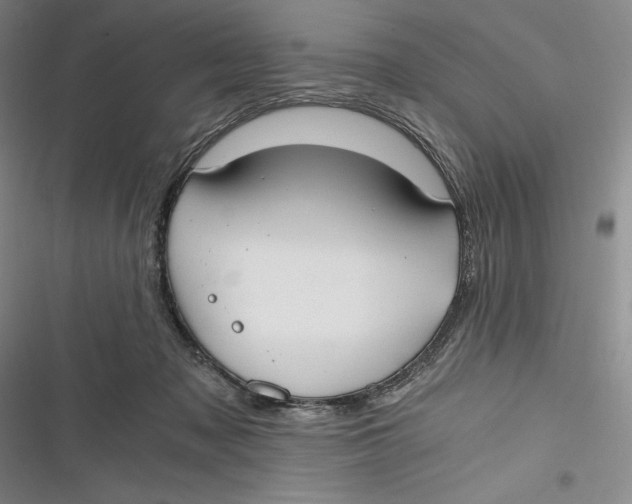 X0000116860317201001121246