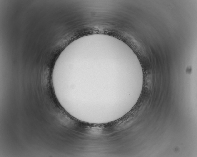 X0000116860318201001121246