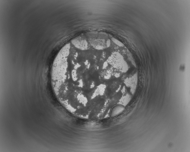 X0000116860319201001121246