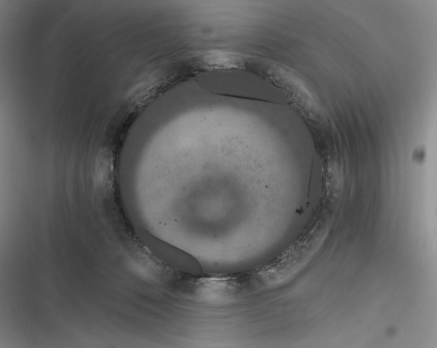 X0000116860320201001121246