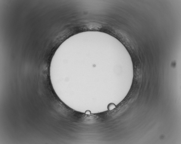 X0000116860321201001121246