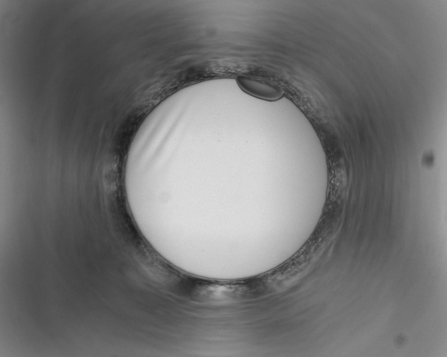 X0000116860323201001121246