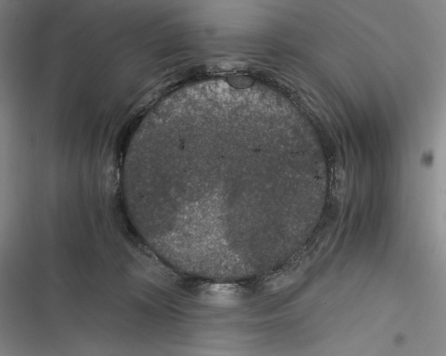 X0000116860324201001121246