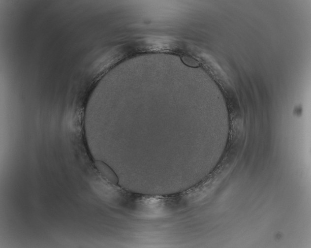 X0000116860325201001121246