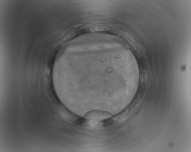 X0000116860327201001121246