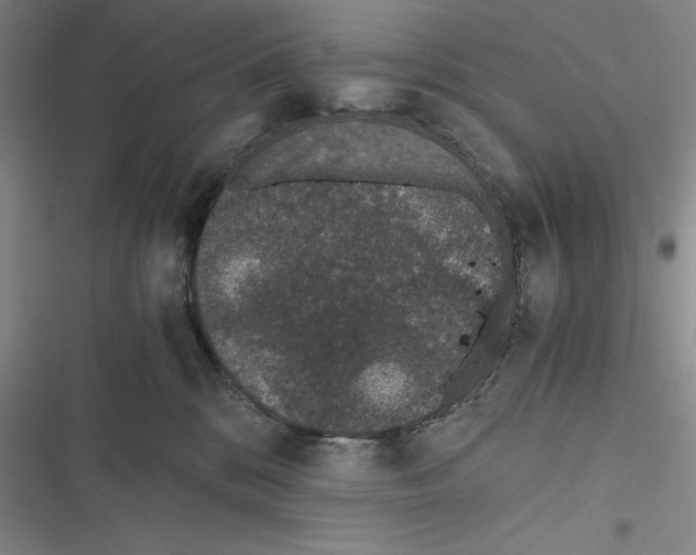 X0000116860328201001121246