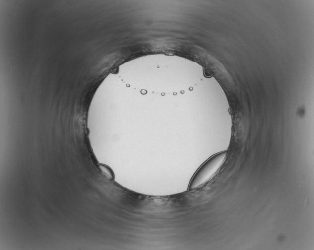 X0000116860329201001121246