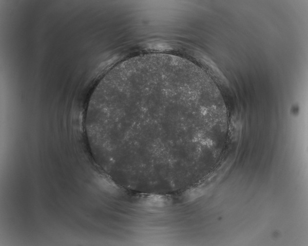 X0000116860330201001121246