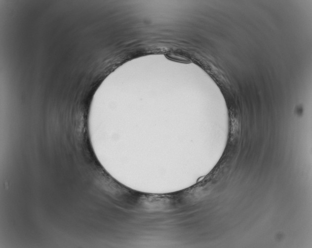 X0000116860331201001121246