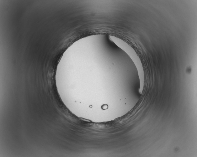 X0000116860332201001121246