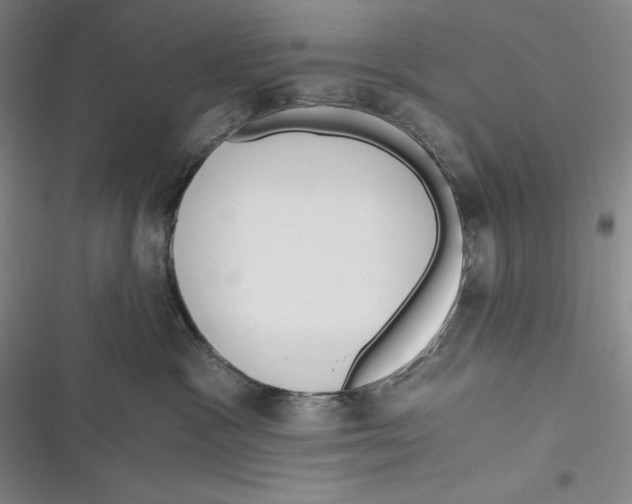 X0000116860333201001121246