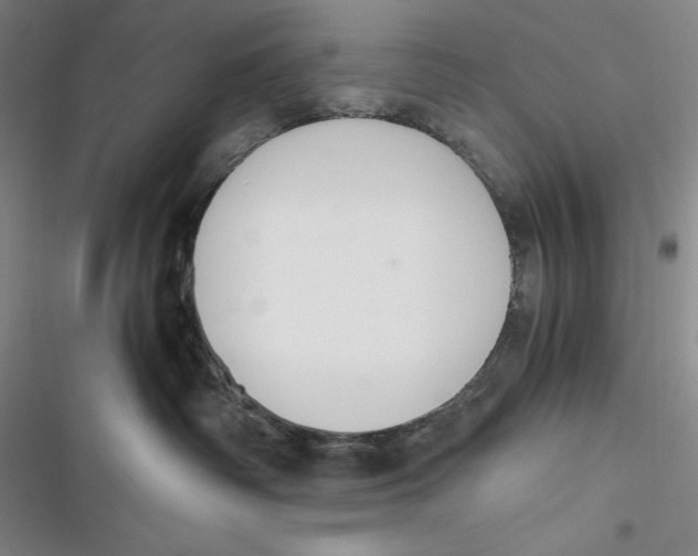 X0000116860334201001121246