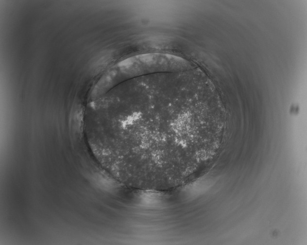 X0000116860336201001121246