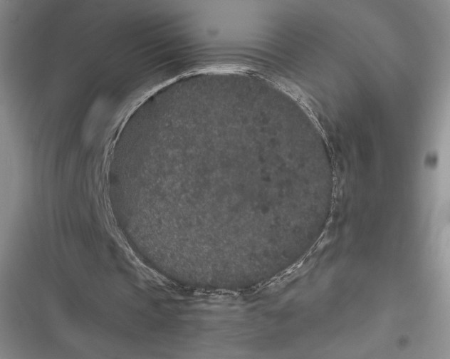 X0000116860337201001121245