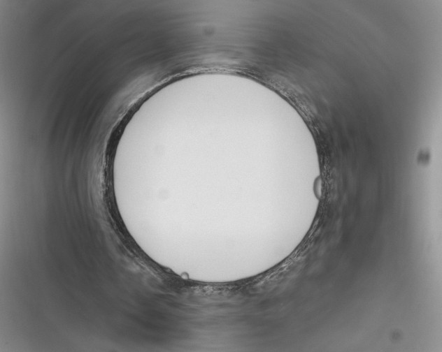 X0000116860338201001121245