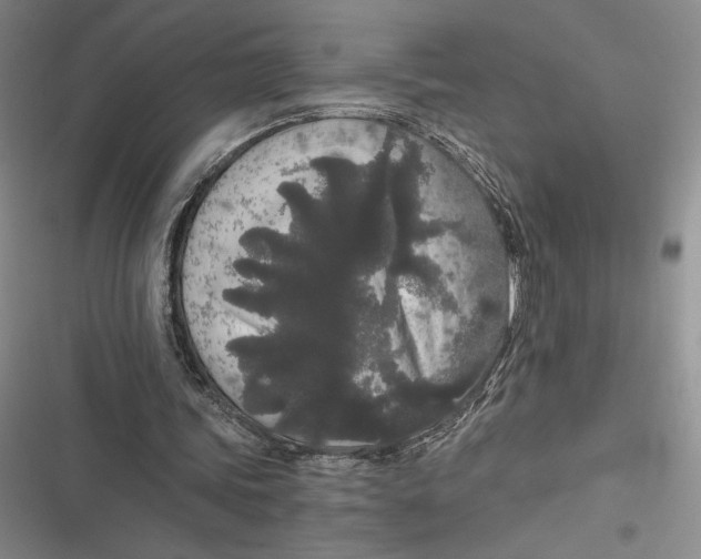 X0000116860339201001121245