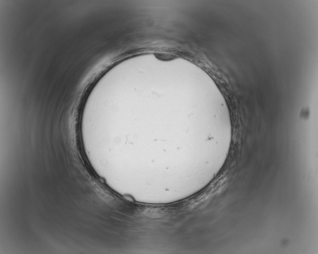 X0000116860341201001121245