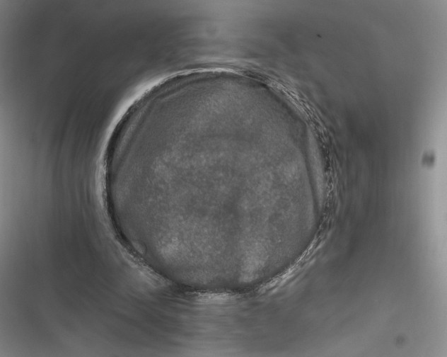 X0000116860342201001121245