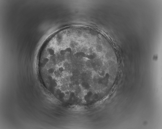 X0000116860343201001121245