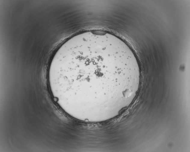 X0000116860345201001121245