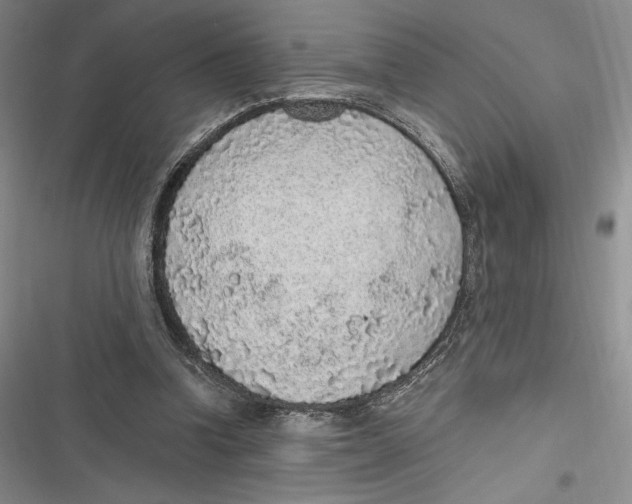 X0000116860346201001121245