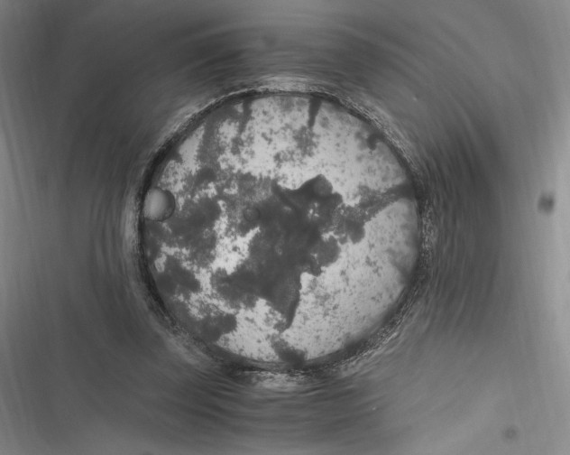 X0000116860347201001121245