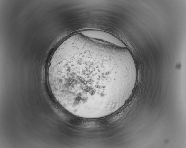 X0000116860349201001121245