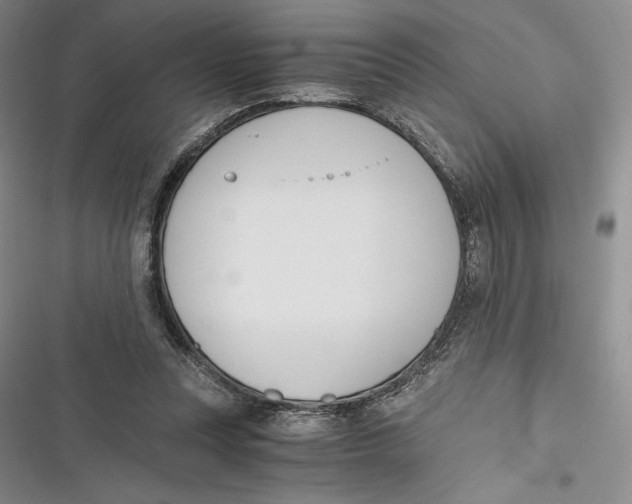 X0000116860351201001121245