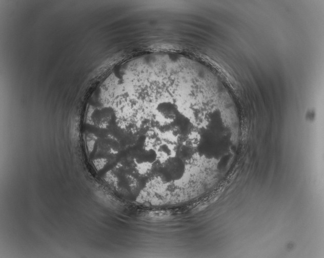 X0000116860353201001121245