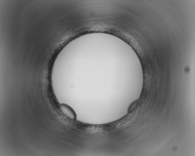 X0000116860354201001121245