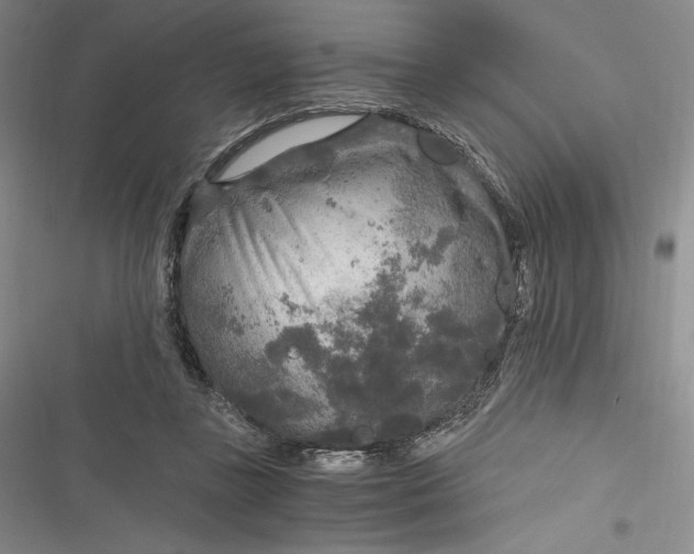 X0000116860355201001121245