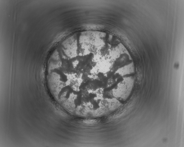 X0000116860357201001121245