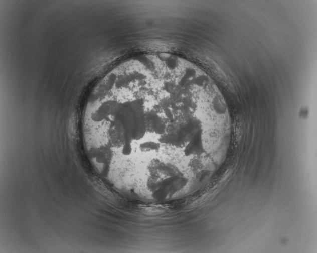 X0000116860359201001121245