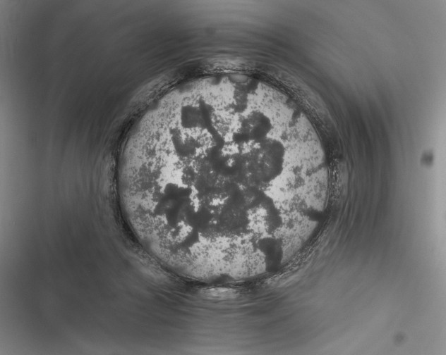 X0000116860361201001121245